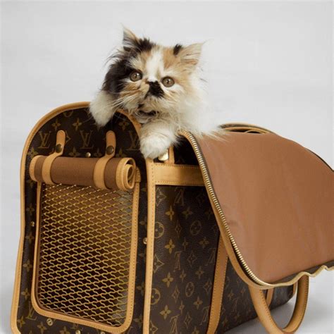 replica louis vuitton dog carrier|authentic louis vuitton pet carrier.